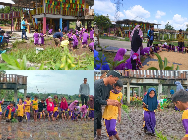 Wisata Edukasi Menanam Padi